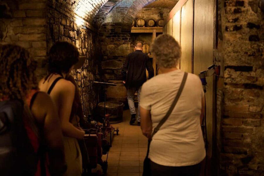 Florence: Great Chianti Wine and Olive Oil Trail with Lunch - Lunch at a boutique winery: 3 courses, local pairings, Tuscan comfort