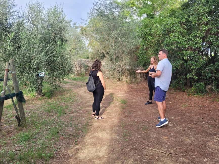 Florence: Half-Day Tuscan Countryside E-bike Tour with Wine - The Olive Oil Farm Stop: Handpicked Extra Virgin Olive Oil, Not a Scripted Sales Pitch