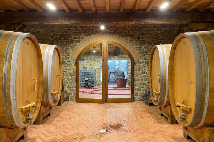 Florence: Hiking Tuscany & Chianti wine 3 wineries and lunch - Who This Tour Fits Best (and who should skip it)