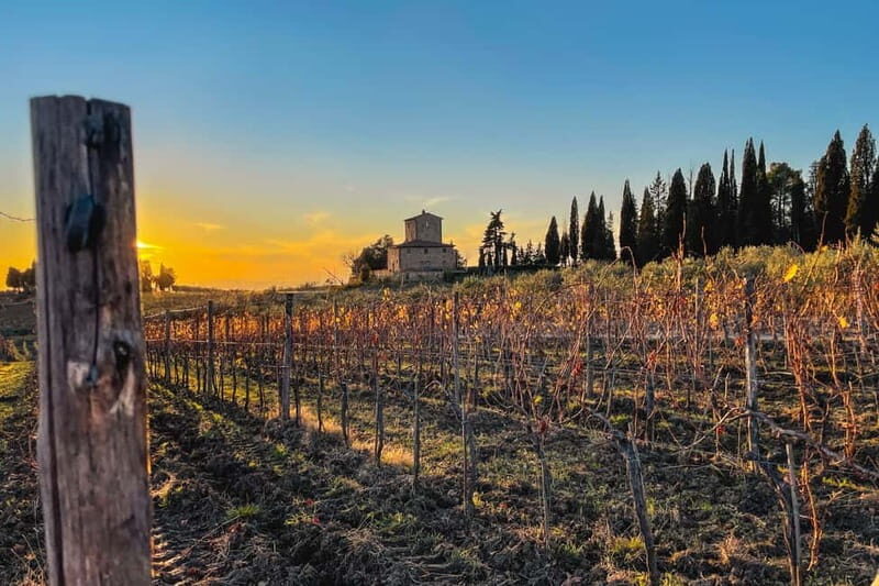 Florence: Hiking Tuscany & Chianti wine 3 wineries and lunch - Panzano Start: Conca d’oro and the feeling of Chianti