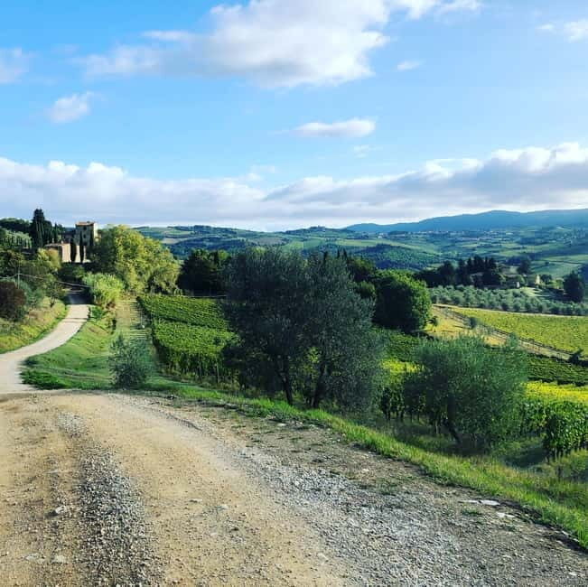 Florence: Hiking Tuscany & Chianti wine 3 wineries and lunch - Olive Groves, Hills, and Winery Stop Two