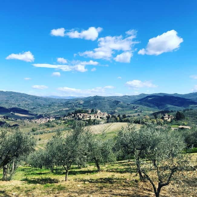 Florence: Hiking Tuscany & Chianti wine 3 wineries and lunch - Group Size, Minivan Hops, and the 8 km hiking reality