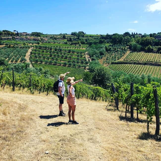 Florence: Hiking Tuscany & Chianti wine 3 wineries and lunch - Stop at a 12th-Century Wine Cellar: medieval walls, modern tastes