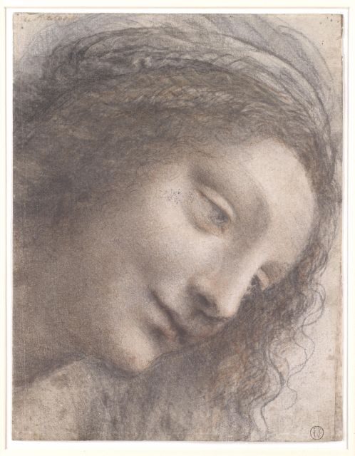Florence: Leonardo Drawings - Leonardo Drawings in Florence: What You’re Really Paying For