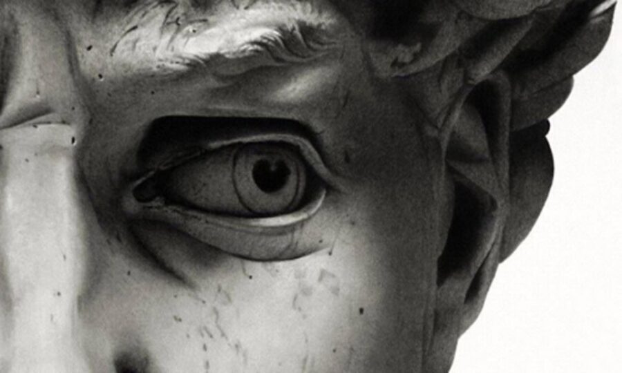 Florence: Medici Tour with Michelangelo's David - Hall of the Colossus: More Than One Famous Face