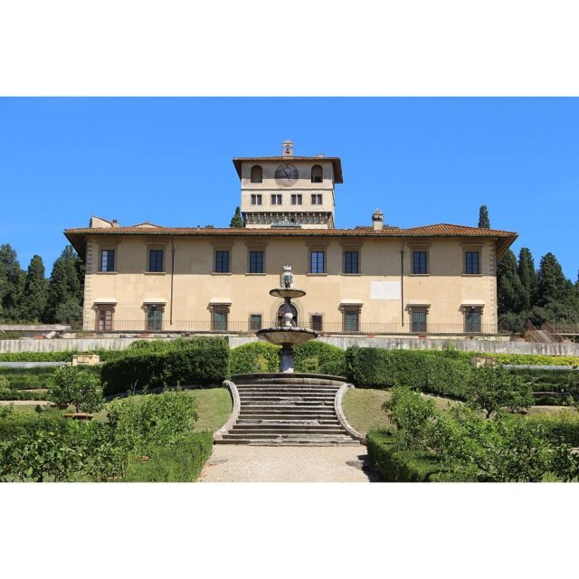Florence: Medici Tour with Michelangelo's David - Learning the Medici Twist Behind the Art