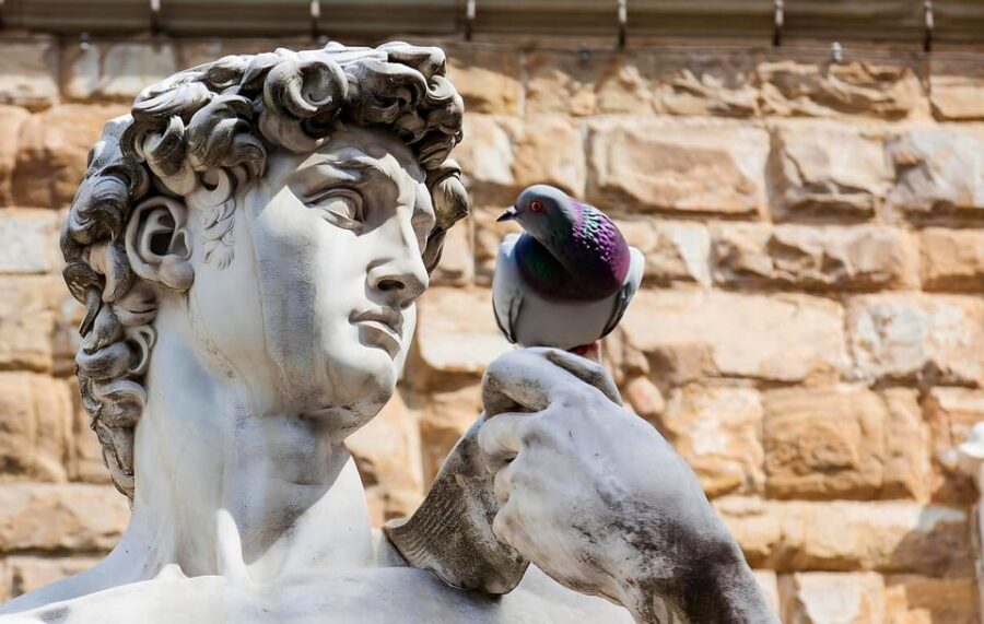 Florence: Piazza della Signoria & David - Anti Walking Tour - Key Things I’d Prioritize on This Florence Signoria Tour