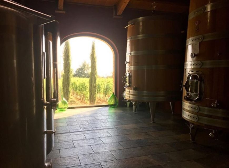 Florence: Private Full-Day Brunello Wine Tour to Montalcino - The guide’s live cellar commentary: why it makes tastings click