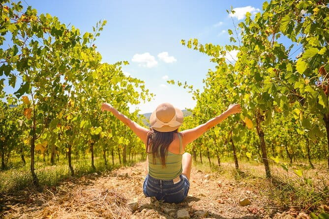 Florence: Private Half-Day Chianti Tour and Wine Tasting Optional - Price Check: Is $378 a Good Deal for a Private Half-Day?