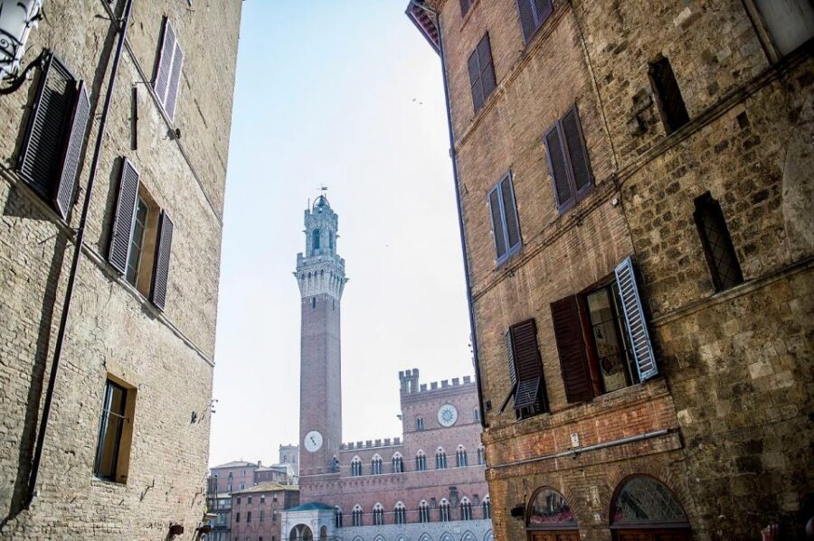 Florence PRIVATE/SEMI PRIVATE Tour: Siena San Gimignano Pisa - Chianti Hills: Vineyard Wine Tasting and a Proper Farmhouse Lunch