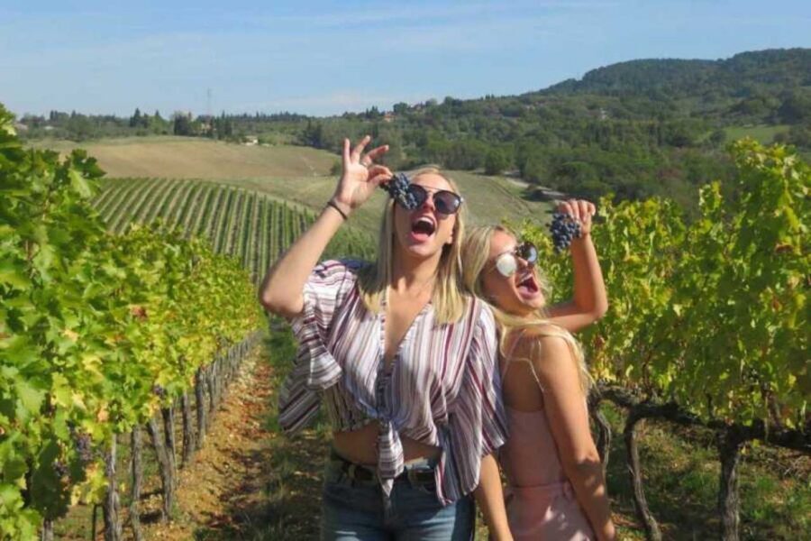 Florence: Private Siena, San Gimignano and Chianti Tour - Price and value: what you’re really paying for