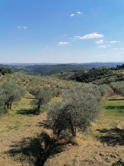 Florence: Private Vintage Fiat500 Countryside & Winery Lunch - The family-run farm and winery tour: what the 105 minutes are really for