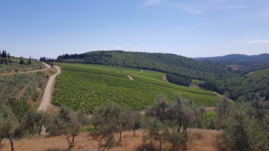 Florence: Private Vintage Fiat500 Countryside & Winery Lunch - Price and value: is $210 per person a fair deal?