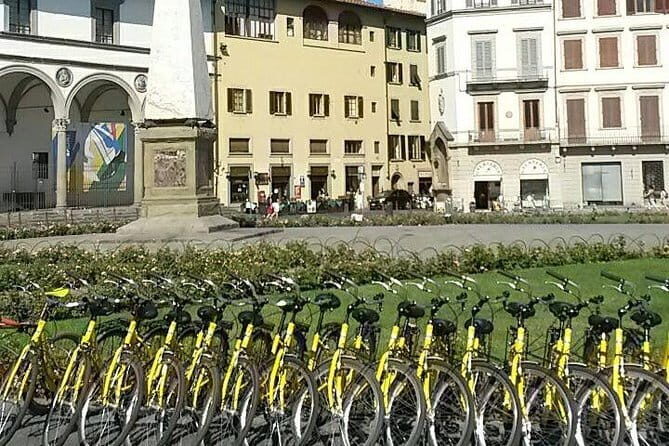 Florence treasures on a city bike - 1 day rental - - Why biking Florence feels like the smart way to see it
