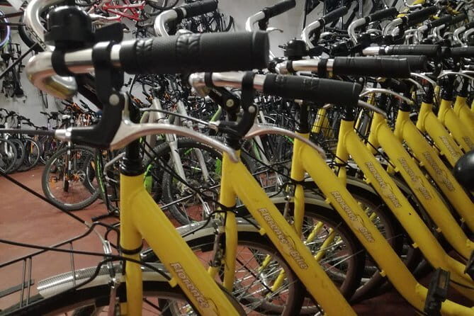 Florence treasures on a city bike - 1 day rental - - Meeting at Florence By Bike: quick start, no mystery