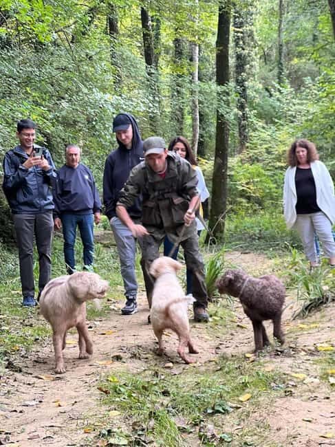 Florence: Truffle Hunt, San Gimignano, and Chianti Day Trip - Truffle-based lunch with Chianti pairing: where your appetite gets a soundtrack