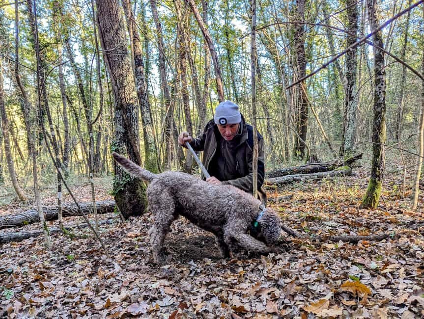 Florence: Truffle Hunt, San Gimignano, and Chianti Day Trip - Who this tour suits best (and who should skip it)