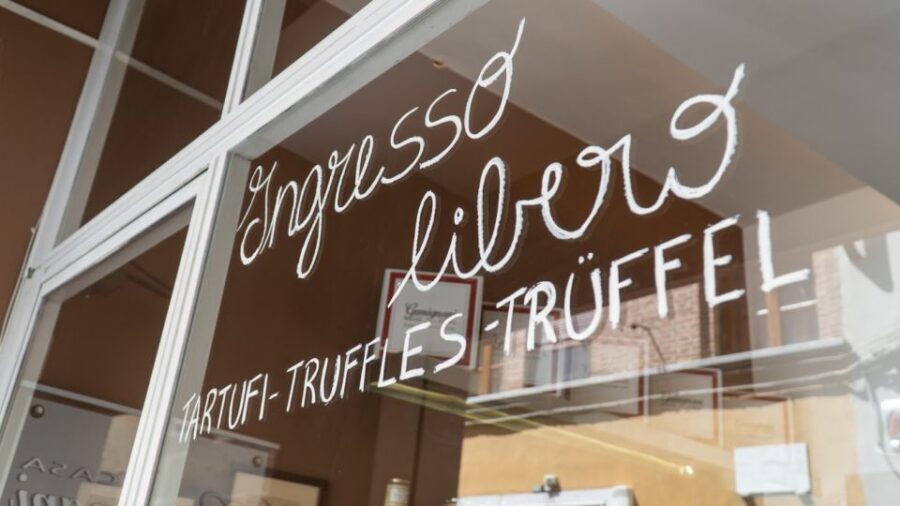 Florence: Truffle Hunting and Vinci with Lunch and Winery - Private group value: what you’re paying for, and what you get