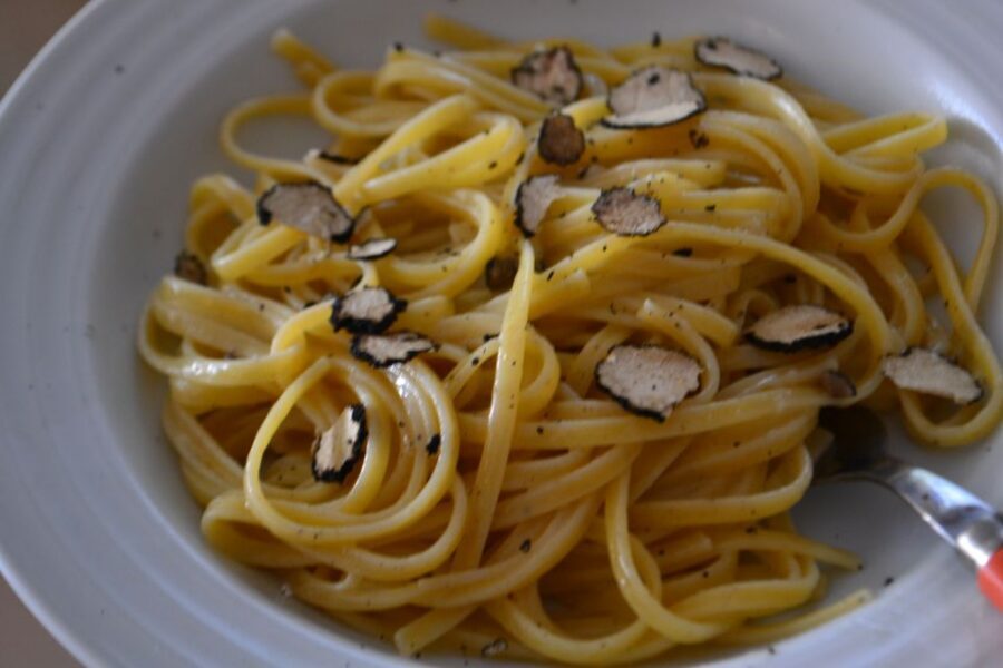 Florence: Truffle Hunting, Lunch, and Wine Tasting Tour - Key highlights and what makes them special