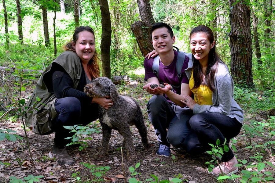 Florence: Truffle Hunting, Lunch, and Wine Tasting Tour - Who this tour fits best (and who should skip it)