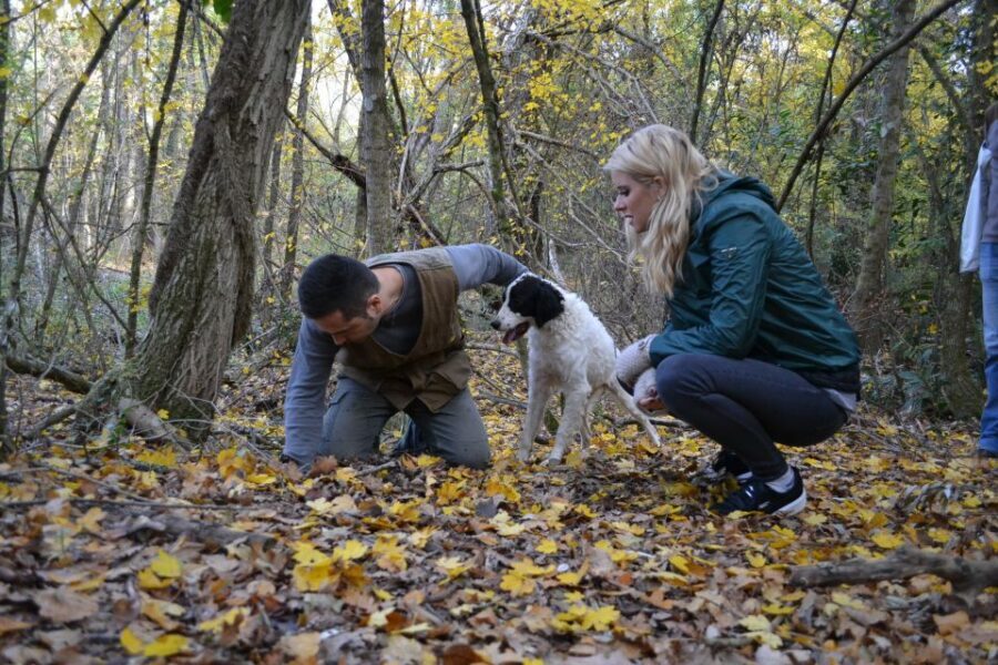 Florence: Truffle Hunting, Lunch, and Wine Tasting Tour - Wine tasting in Tuscany: Chianti DOCG and Super Tuscan IGT