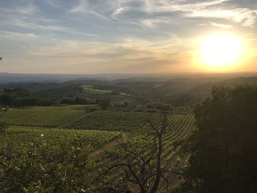 Florence: Tuscany Chianti Winery Private Day-Trip with Lunch - Montefioralle: the 12th-century stone village experience