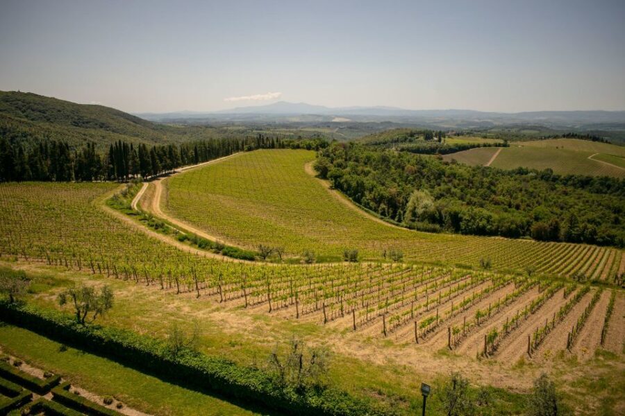 Florence: Tuscany Chianti Winery Private Day-Trip with Lunch - Olive oil education at the estate: more than a quick taste