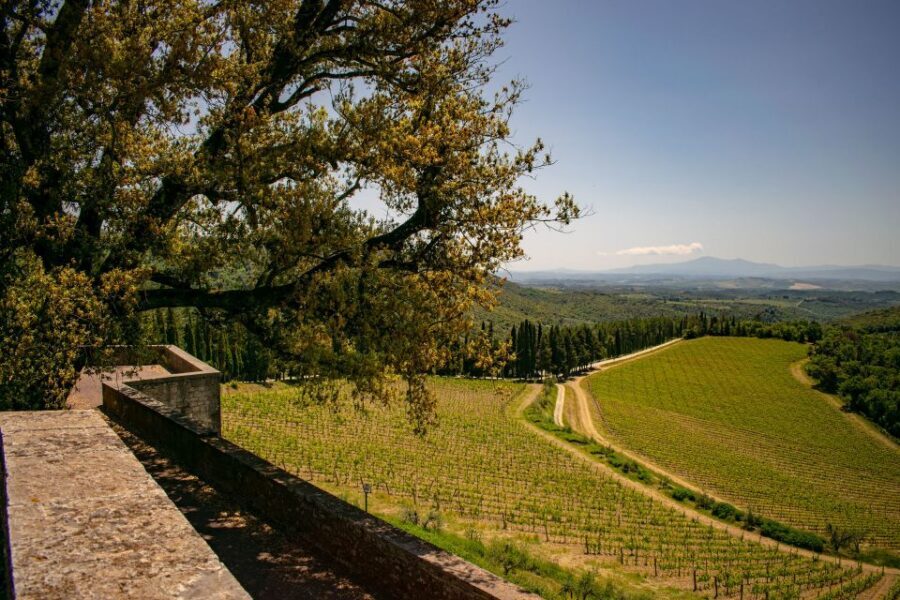 Florence: Tuscany Chianti Winery Private Day-Trip with Lunch - Lunch at the private estate: what you’ll actually eat