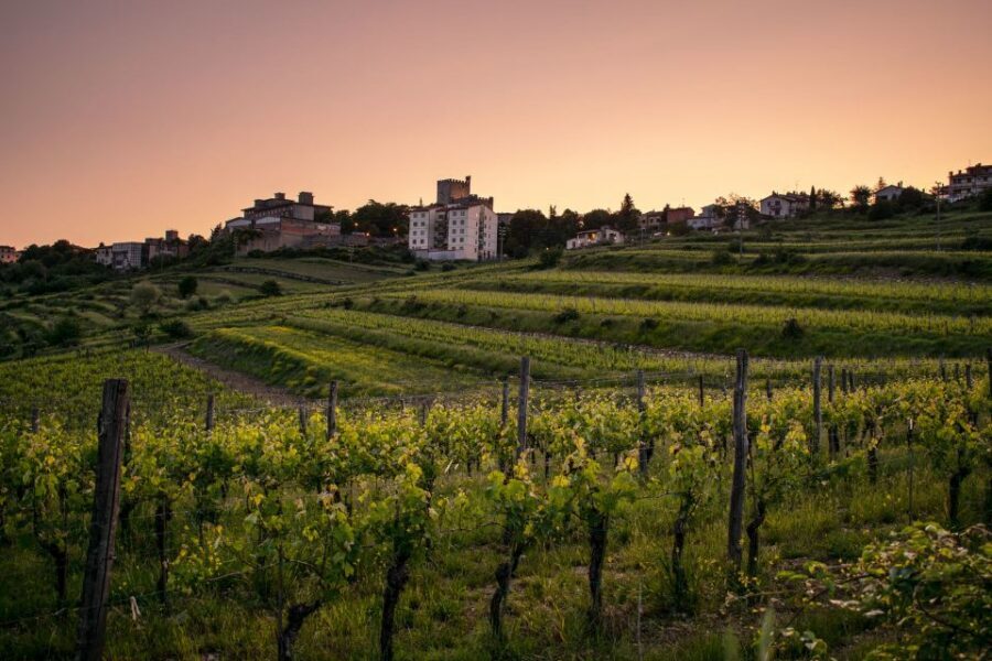 Florence: Tuscany Chianti Winery Private Day-Trip with Lunch - Piazza dei Cavalleggeri to Piazzale Michelangelo: getting your bearings fast