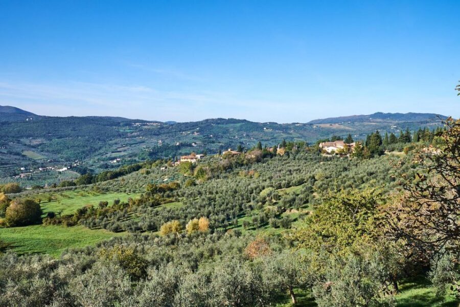 Florence: Vintage Fiat 500 Tour with Wine Tasting at Winery - Family-run winery tasting: cold cuts, olive oil, and local wines