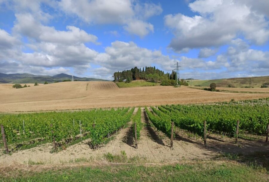 Florence: Volterra & San Gimignano Wine Tour with Lunch - Quick take: why this tour is worth your time