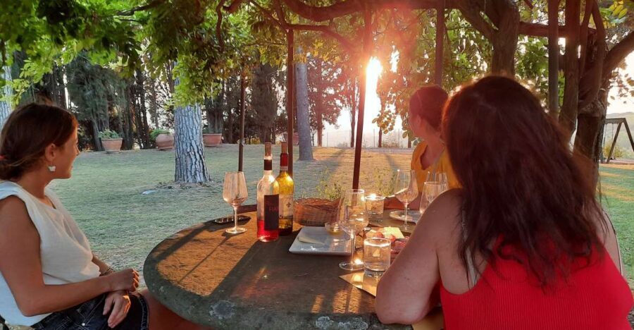 Florence Wine Tour with Traditional Lunch, Private Winery - Key things that make this Chianti wine day worth it
