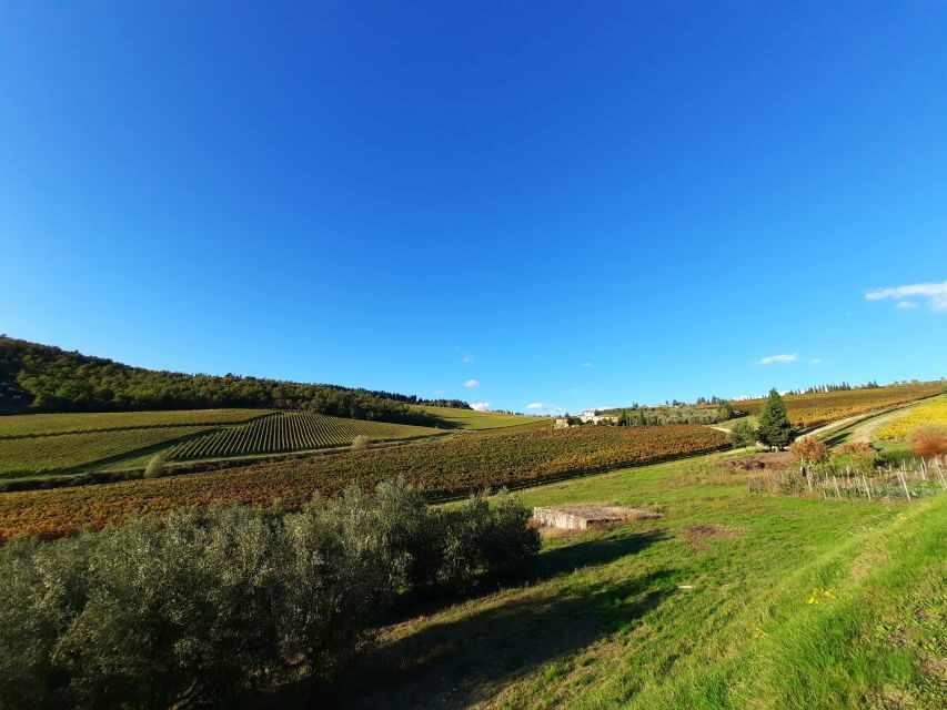 Florence Wine Tour with Traditional Lunch, Private Winery - Chianti Hills photo stops: small breaks that change the whole day