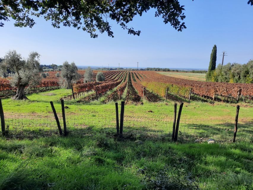 Florence Wine Tour with Traditional Lunch, Private Winery - Who this tour suits best (and who might want to skip it)