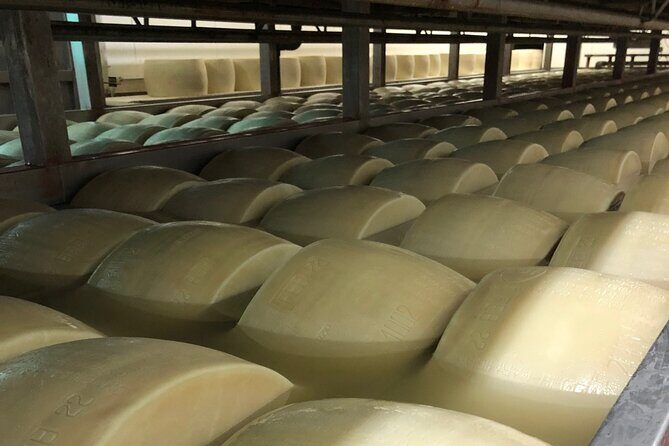 Food Excellences:Prosciutto, Parmigiano, Balsamic,Lunch,Transport - Why This Emilia-Romagna Food Tour Feels More Real Than a Tasting Room