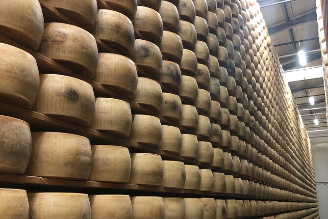 Food Excellences:Prosciutto, Parmigiano, Balsamic,Lunch,Transport - Lunch at the Prosciuttificio: The Part That Makes the Price Make Sense