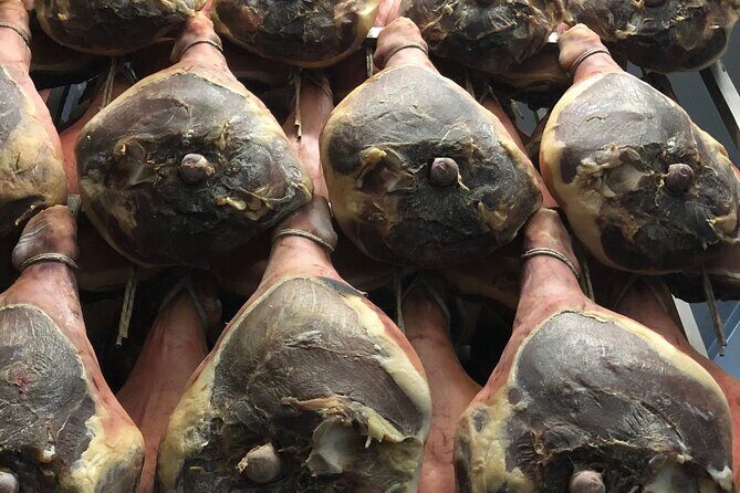 Food Excellences:Prosciutto, Parmigiano, Balsamic,Lunch,Transport - Bologna to Modena: Pickup Timing and How to Find the Driver