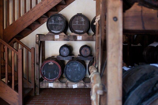 Food Tour: Parmigiano, Balsamic, Red Wine, lunch,transport - How the private Food Valley route actually makes sense