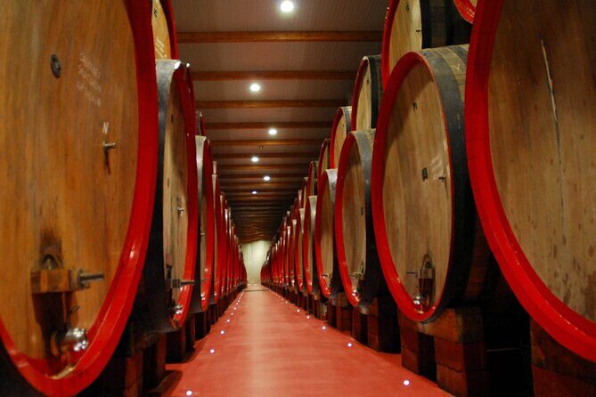 Food Tour: Parmigiano, Balsamic, Red Wine, lunch,transport - Who this tour is best for