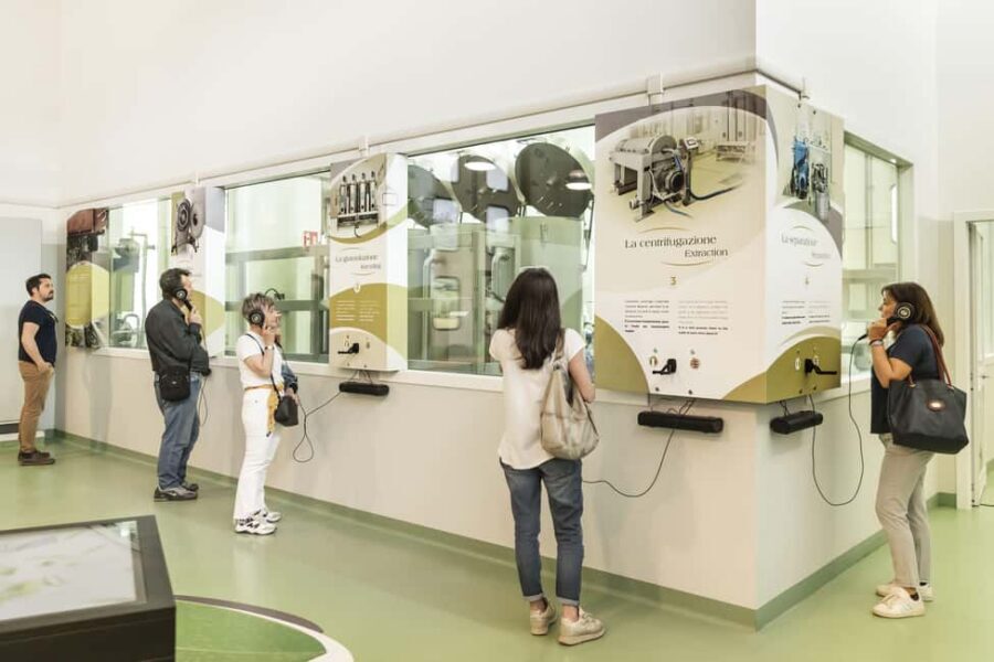 Frantoio di San Gimignano: oil mill tour and tasting - Walking into the mill: interactive panels and a hands-on production feel