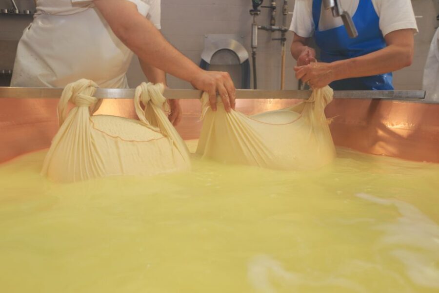 From Bologna: Emilia Excellence Food Tour - Key things to know before you go