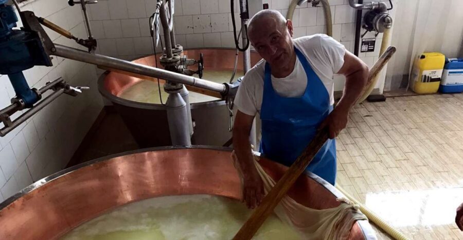 From Bologna: Emilia Excellence Food Tour - A 7-hour route through Parmigiano, balsamic, and wine country