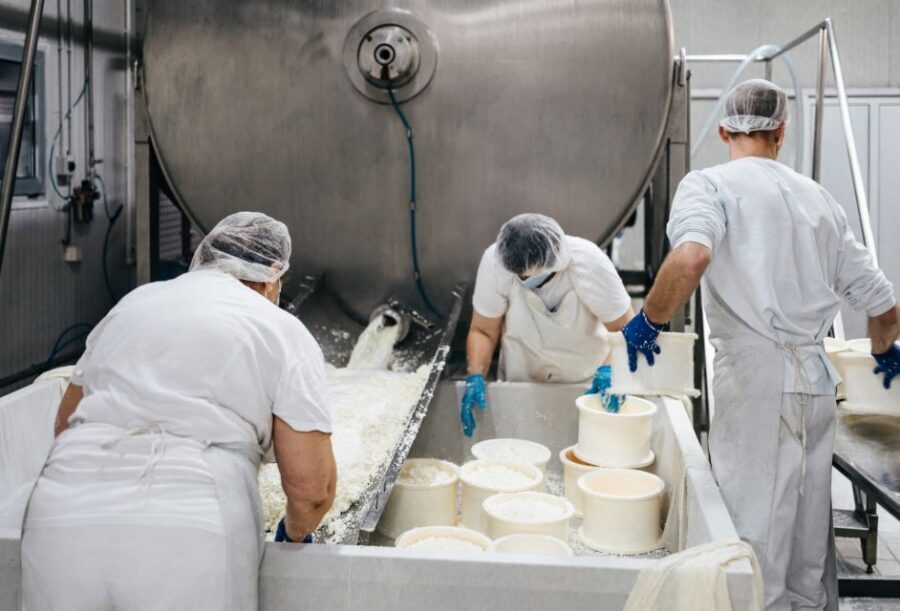 From Bologna: Emilia Excellence Food Tour - Inside a Parmigiano Reggiano dairy: what the cheese stop feels like
