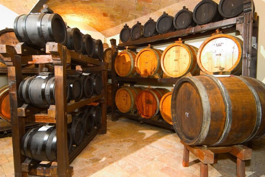 From Bologna: Emilia Excellence Food Tour - Vineyard and winery time: tasting, views, and the outdoor level