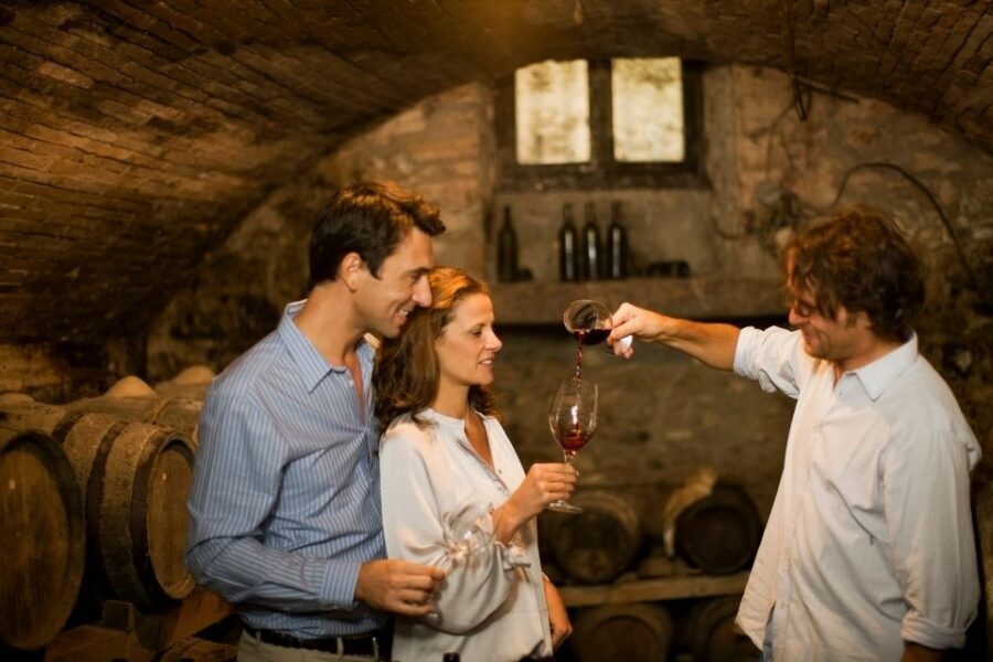 From Bologna: Emilia Excellence Food Tour - Price and value: what $396.50 buys you (and what it can’t)