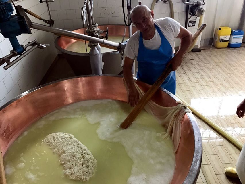 From Bologna: Emilia Excellence Food Tour - Bologna pickup and the value of a private driver through Emilia-Romagna