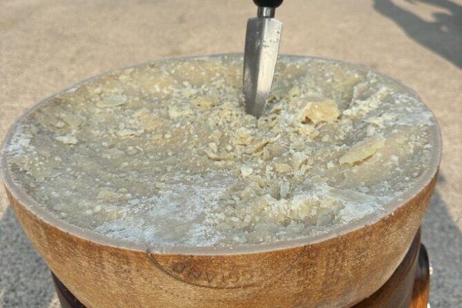 From Bologna: Parmesan Cheese & Balsamic Vinegar Tour+Lunch - Key points worth knowing before you go