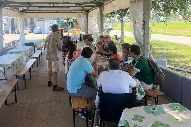 From Bologna: Parmesan Cheese & Balsamic Vinegar Tour+Lunch - From Bologna pickup to the Emilian countryside