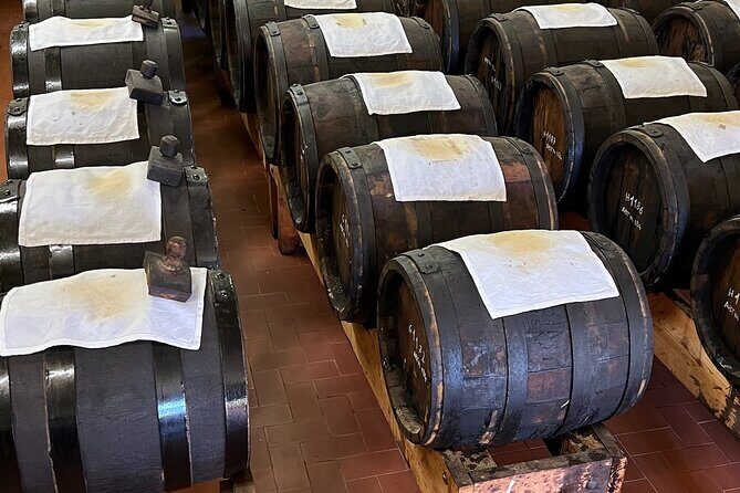 From Bologna: Parmesan Cheese & Balsamic Vinegar Tour+Lunch - How “black gold” gets explained in an acetaia visit