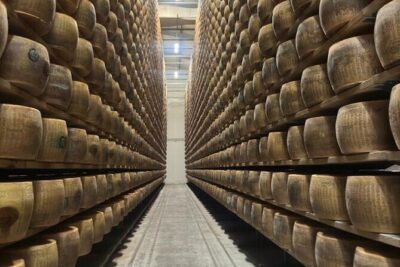 From Bologna: Parmesan Cheese & Balsamic Vinegar Tour+Lunch - Parmigiano Reggiano at a cheese factory: what you taste and why it matters